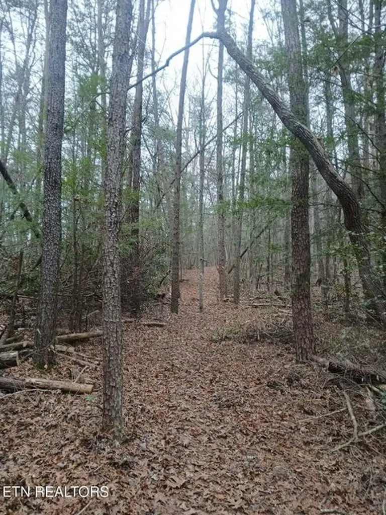 0 Wild Magnolia Jamestown TN 38556