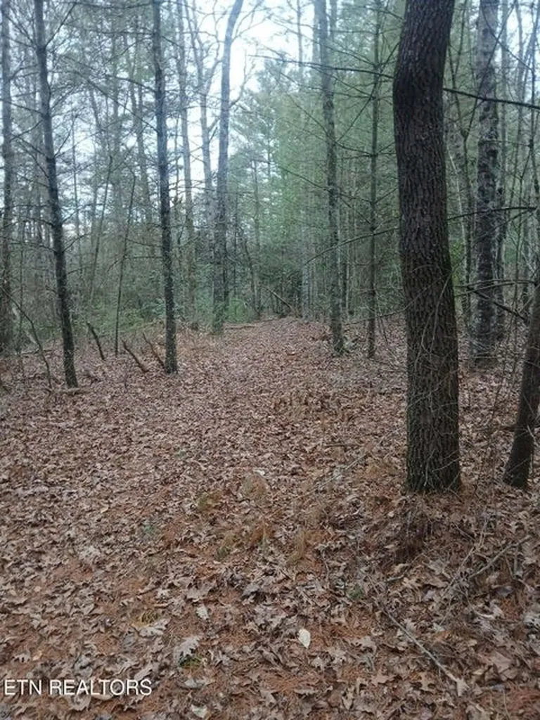 0 Wild Magnolia Jamestown TN 38556
