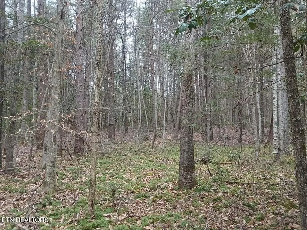 0 Wild Magnolia Jamestown TN 38556