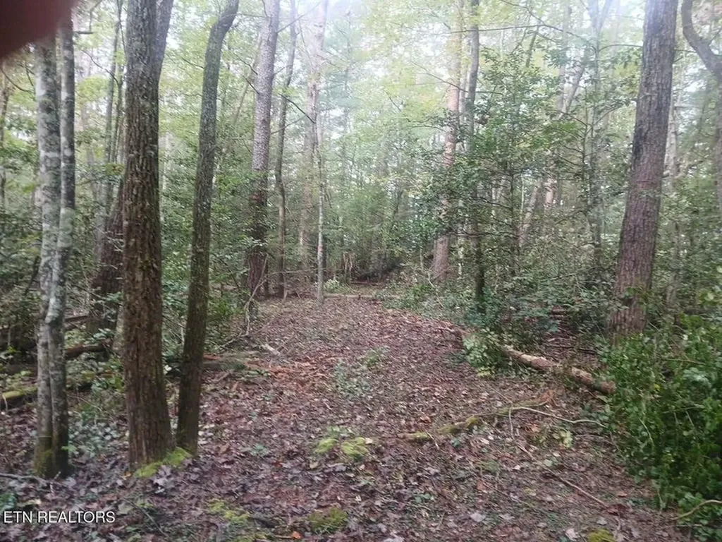 0 Wild Magnolia Jamestown TN 38556
