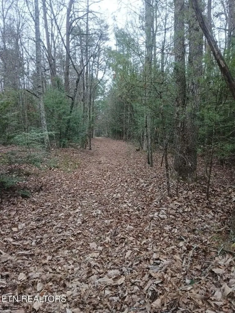 0 Wild Magnolia Jamestown TN 38556