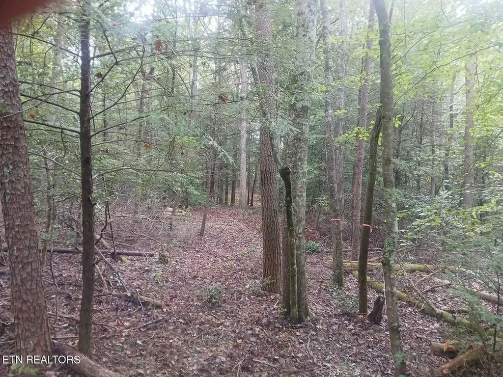 0 Wild Magnolia Jamestown TN 38556
