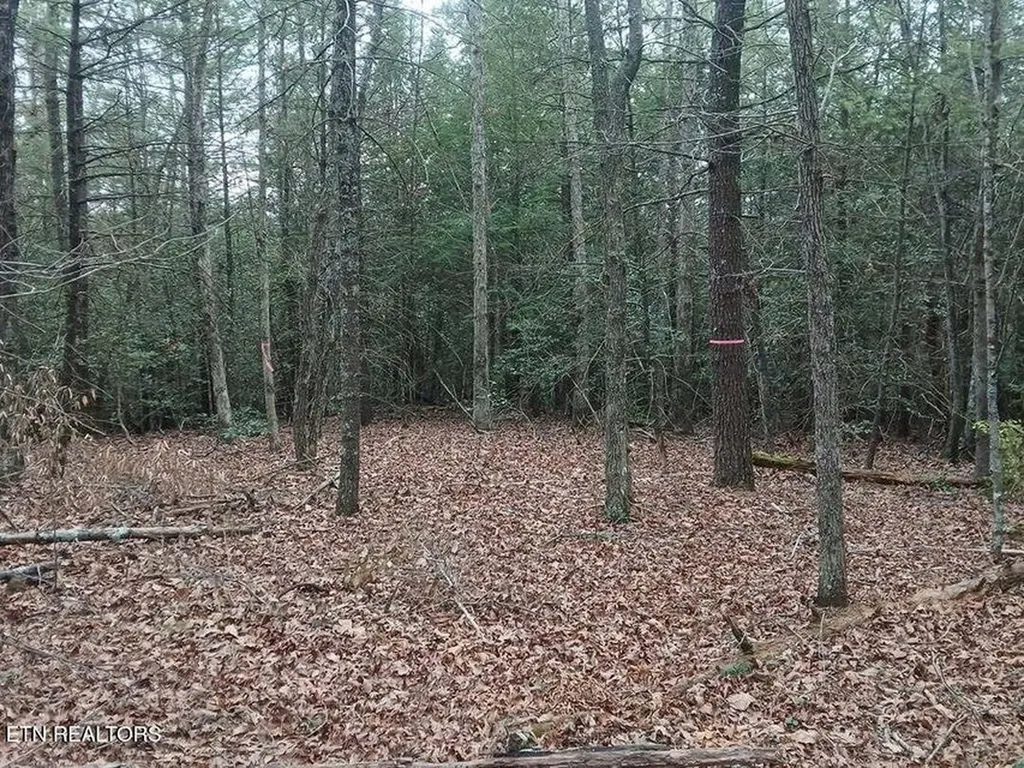 0 Wild Magnolia Jamestown TN 38556