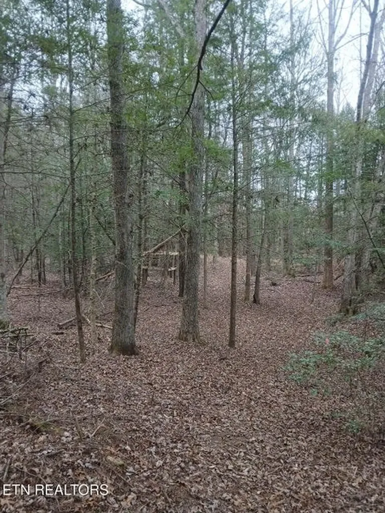 0 Wild Magnolia Jamestown TN 38556