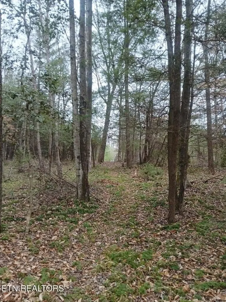 0 Wild Magnolia Jamestown TN 38556