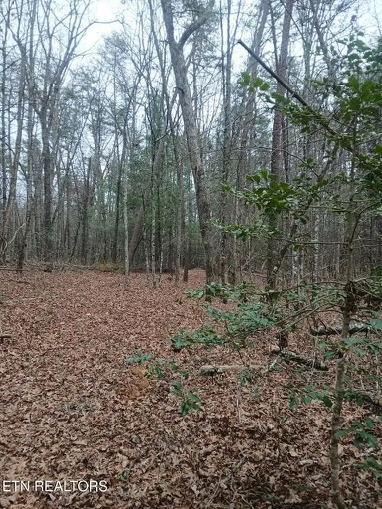 0 Wild Magnolia Jamestown TN 38556