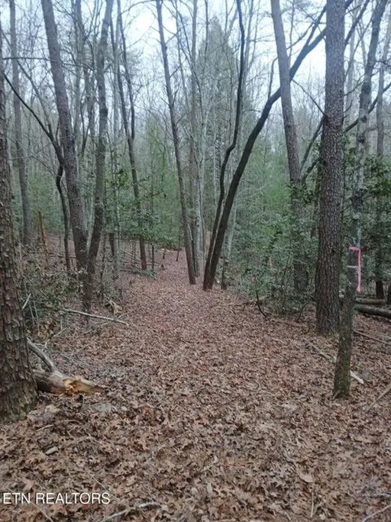 0 Wild Magnolia Jamestown TN 38556