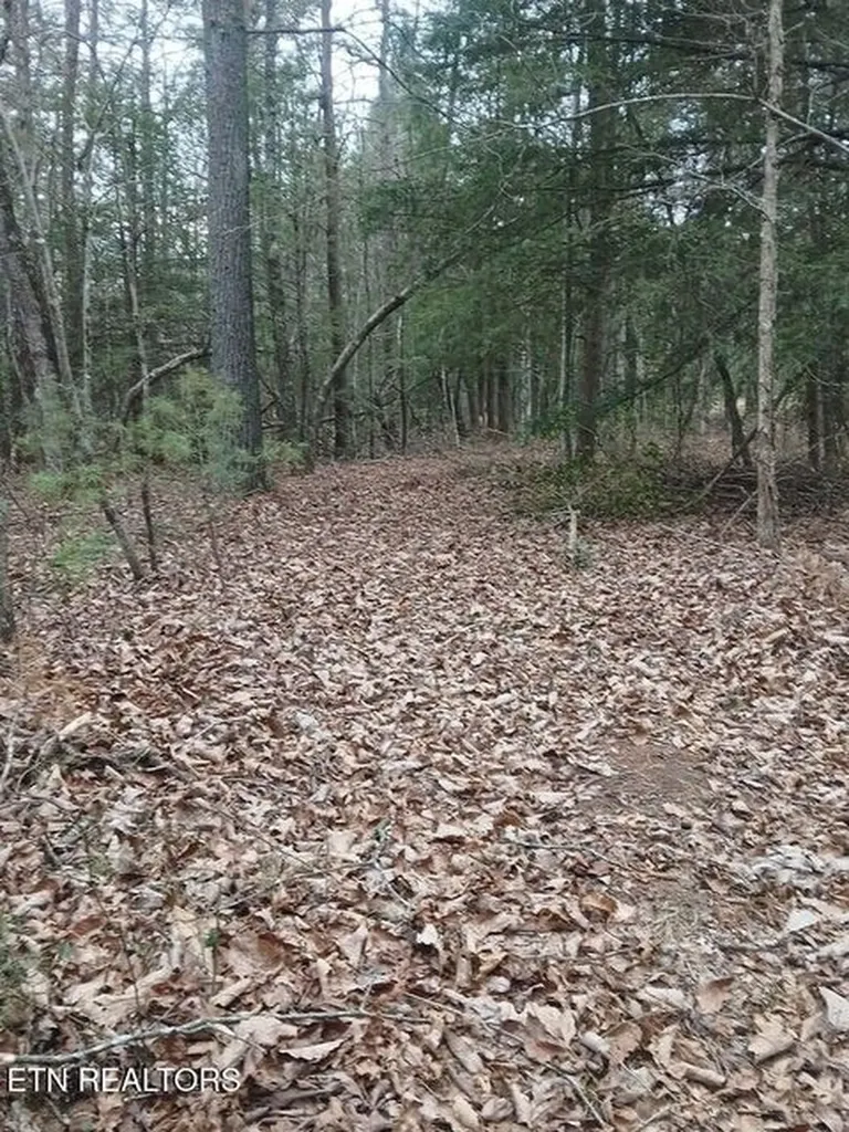 0 Wild Magnolia Jamestown TN 38556