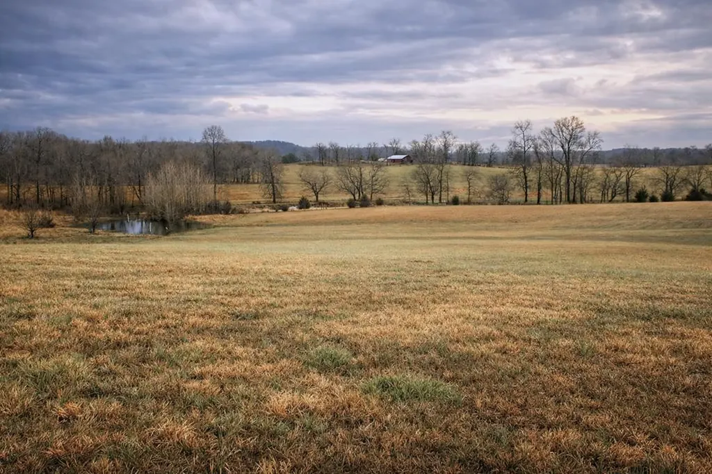 Lot 3 Old Kentucky Road Sparta TN 38583