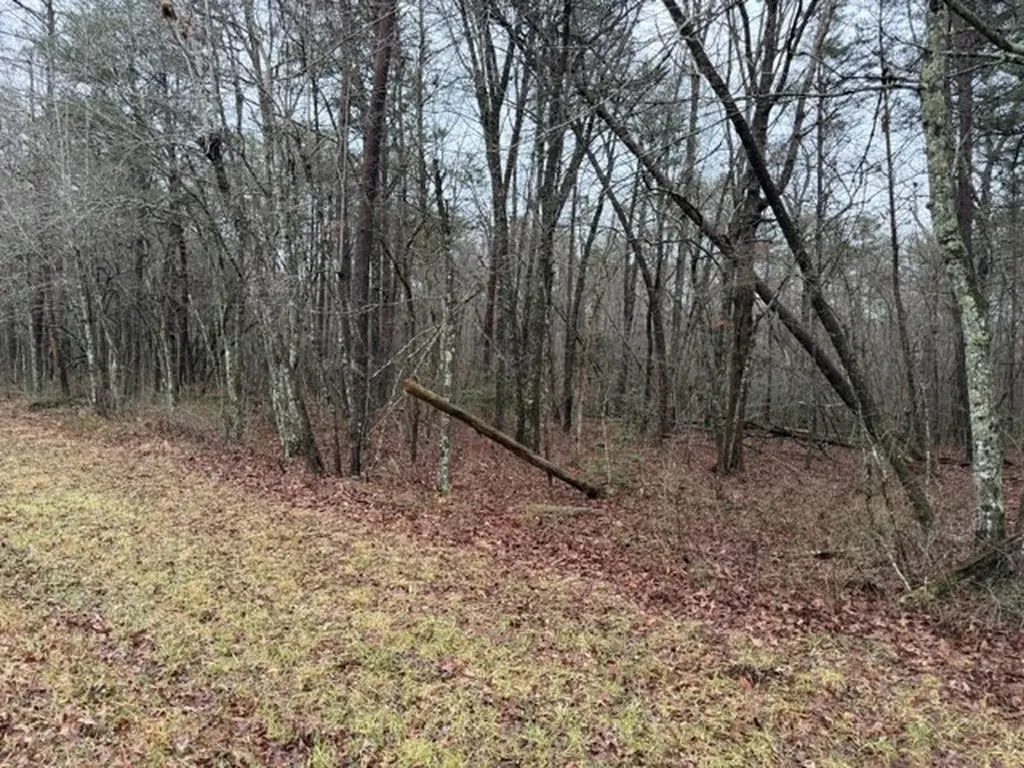 Lot 5 Cumberland Lakes Drive Monterey TN 38574