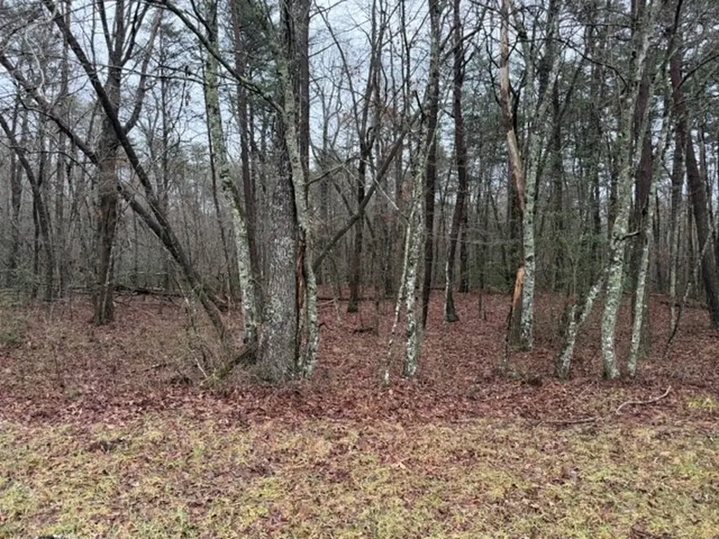 Lot 5 Cumberland Lakes Drive Monterey TN 38574
