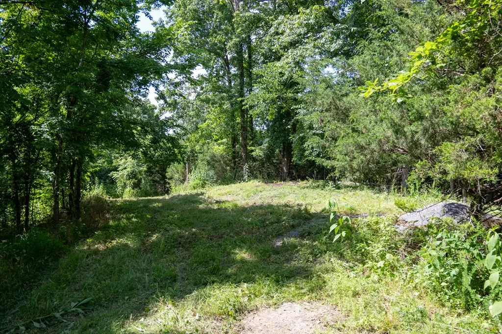 4.99 Hopkins Hollow Road Gainesboro TN 38562