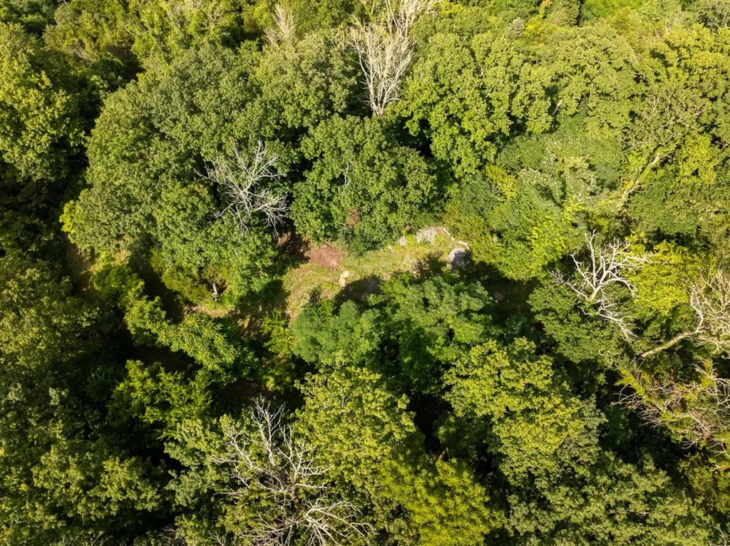4.99 Hopkins Hollow Road Gainesboro TN 38562