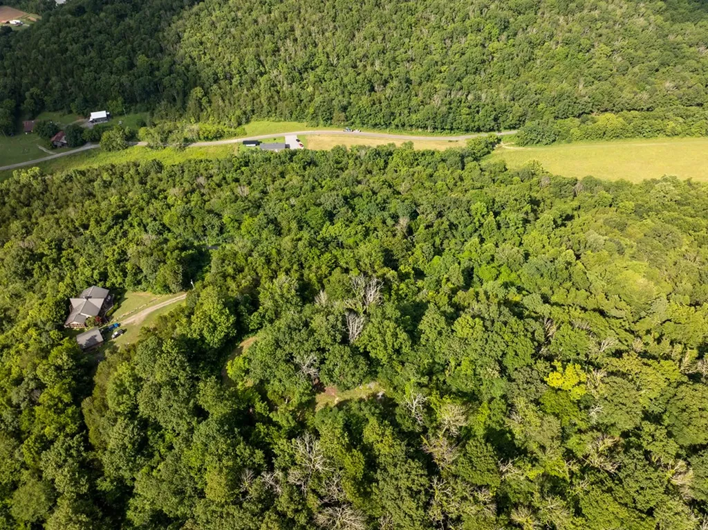 4.99 Hopkins Hollow Road Gainesboro TN 38562