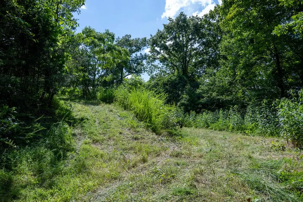 4.99 Hopkins Hollow Road Gainesboro TN 38562