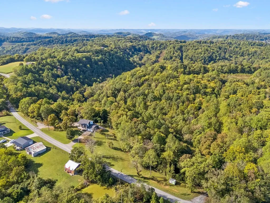 213 Pea Ridge Road Elmwood TN 38560