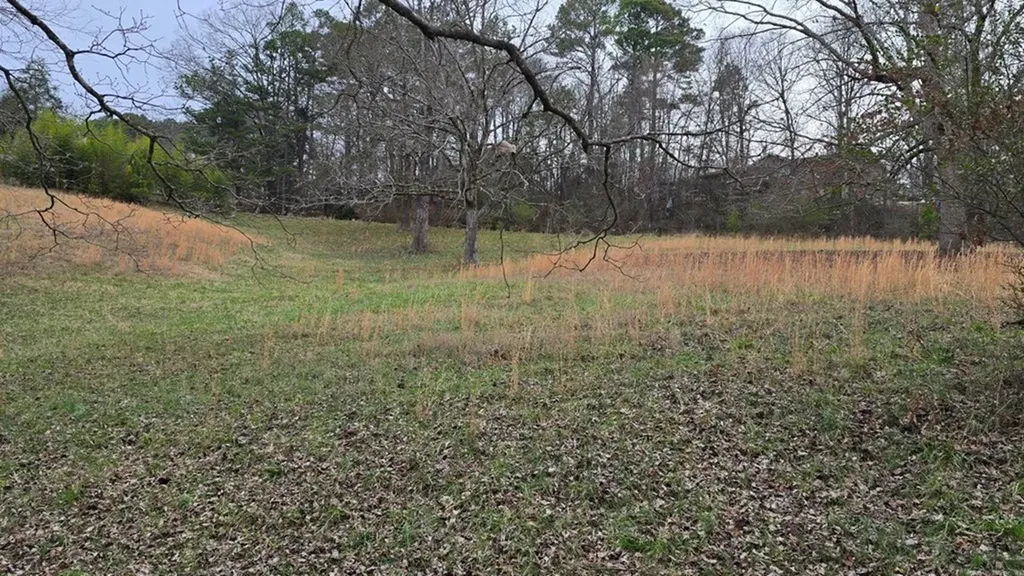 1484 Blythe Ferry Road Dayton TN 37321