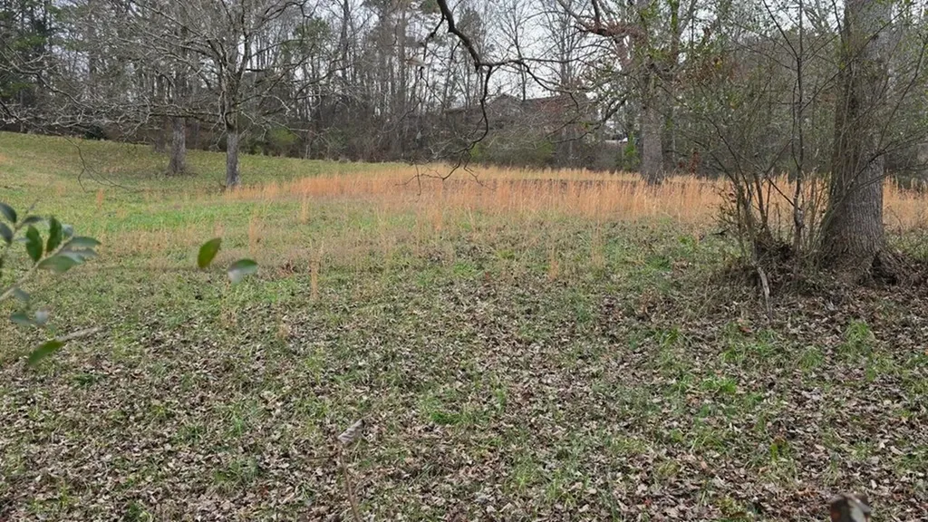 1484 Blythe Ferry Road Dayton TN 37321