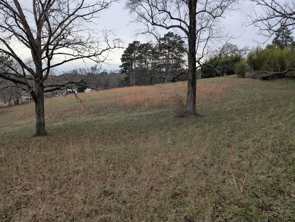 1484 Blythe Ferry Road Dayton TN 37321