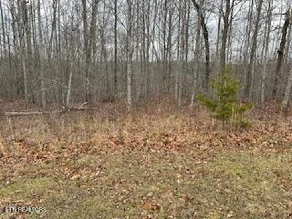 50245, 50194, 50148 Buckeye Lane Crawford TN 38554