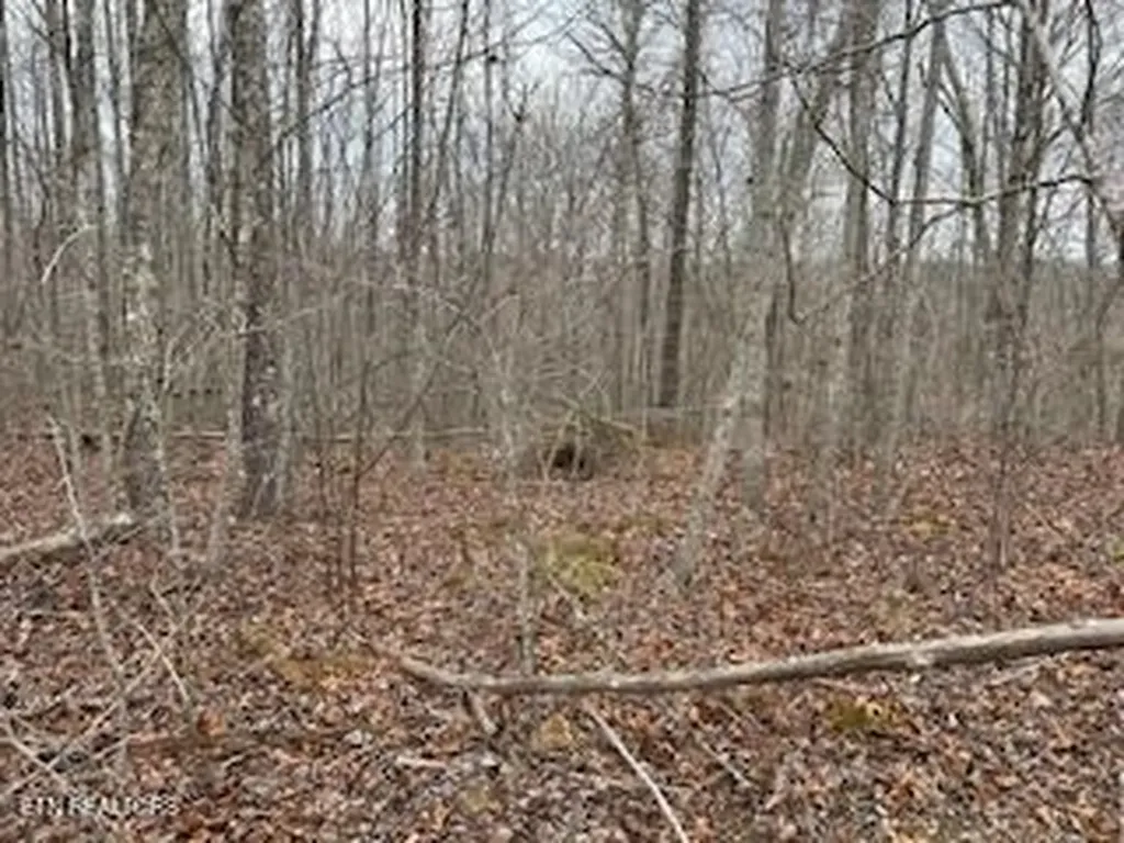 50245, 50194, 50148 Buckeye Lane Crawford TN 38554