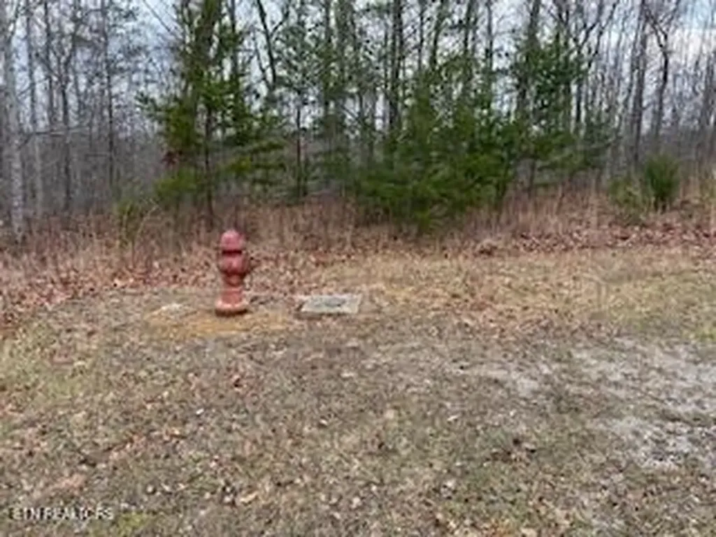 50245, 50194, 50148 Buckeye Lane Crawford TN 38554