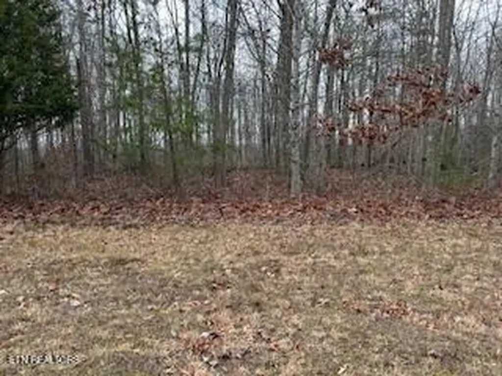 50245, 50194, 50148 Buckeye Lane Crawford TN 38554