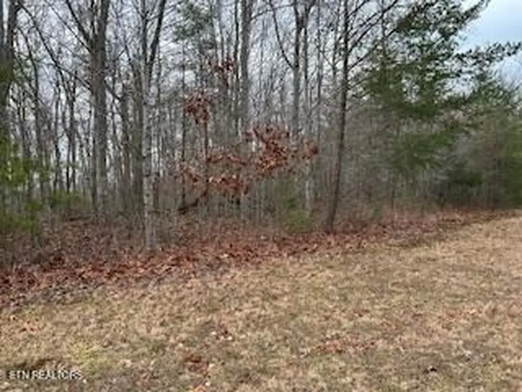 50245, 50194, 50148 Buckeye Lane Crawford TN 38554