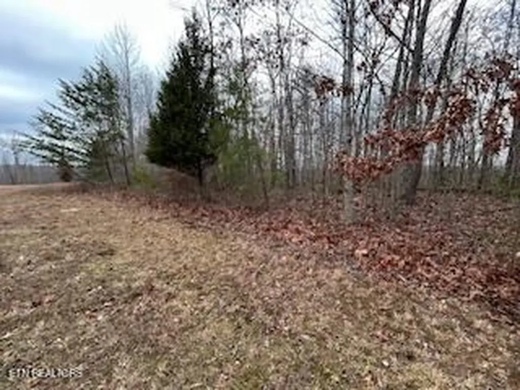 50245, 50194, 50148 Buckeye Lane Crawford TN 38554