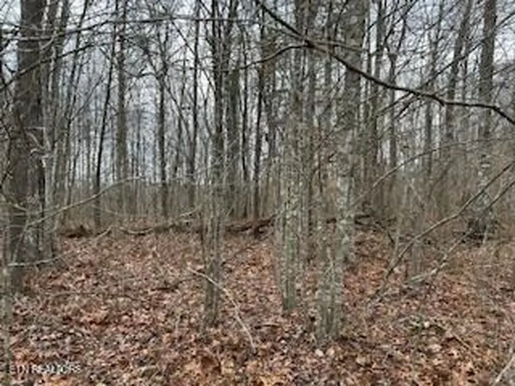 50245, 50194, 50148 Buckeye Lane Crawford TN 38554