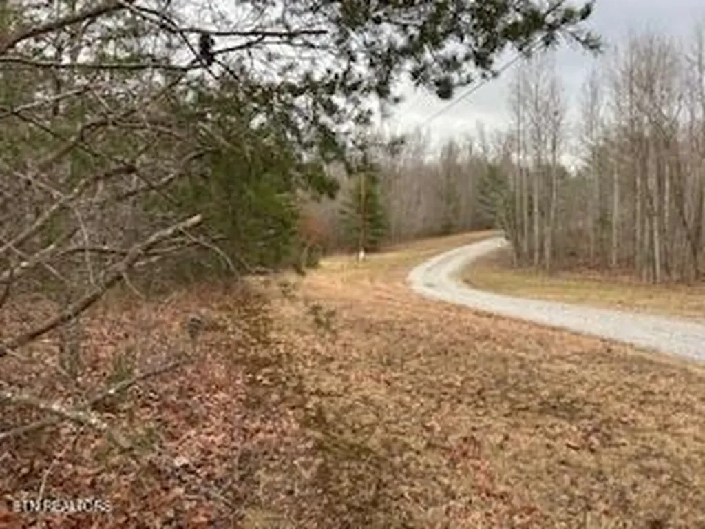50245, 50194, 50148 Buckeye Lane Crawford TN 38554