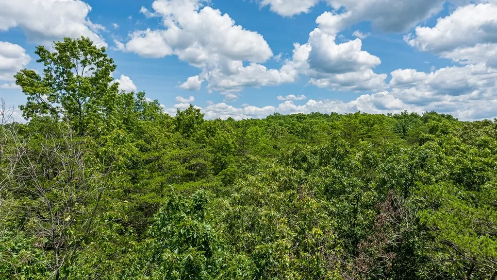 5011 Ostego Drive Crossville TN 38572