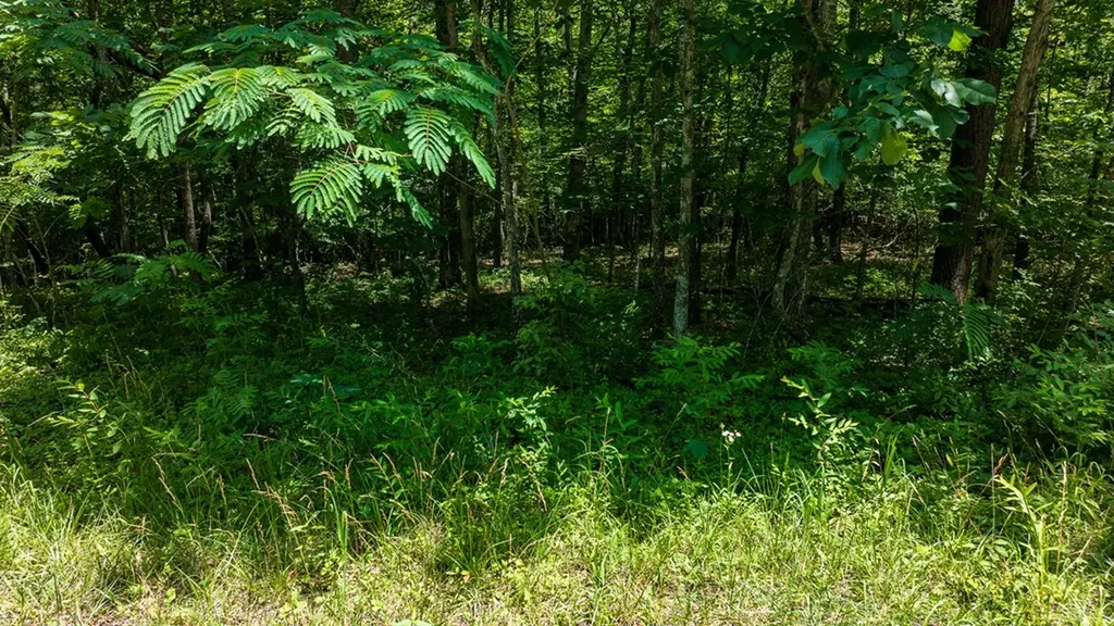 5011 Ostego Drive Crossville TN 38572