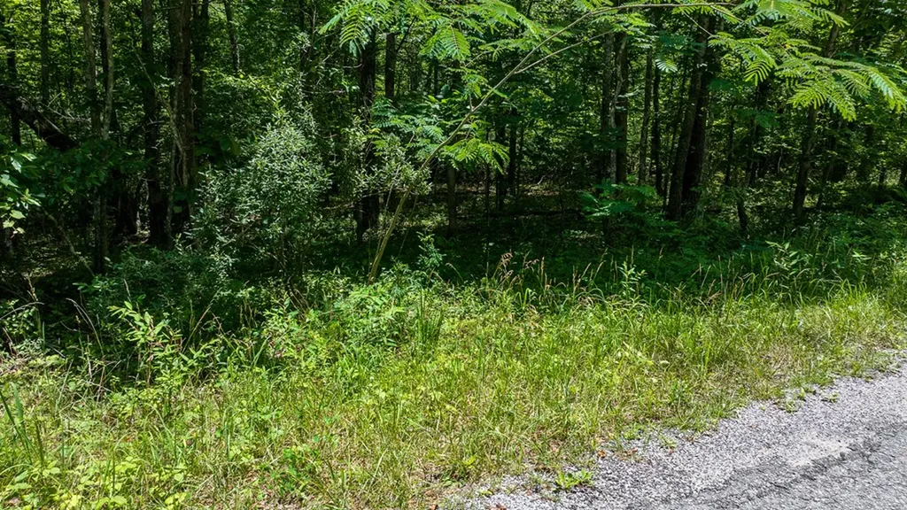 5011 Ostego Drive Crossville TN 38572