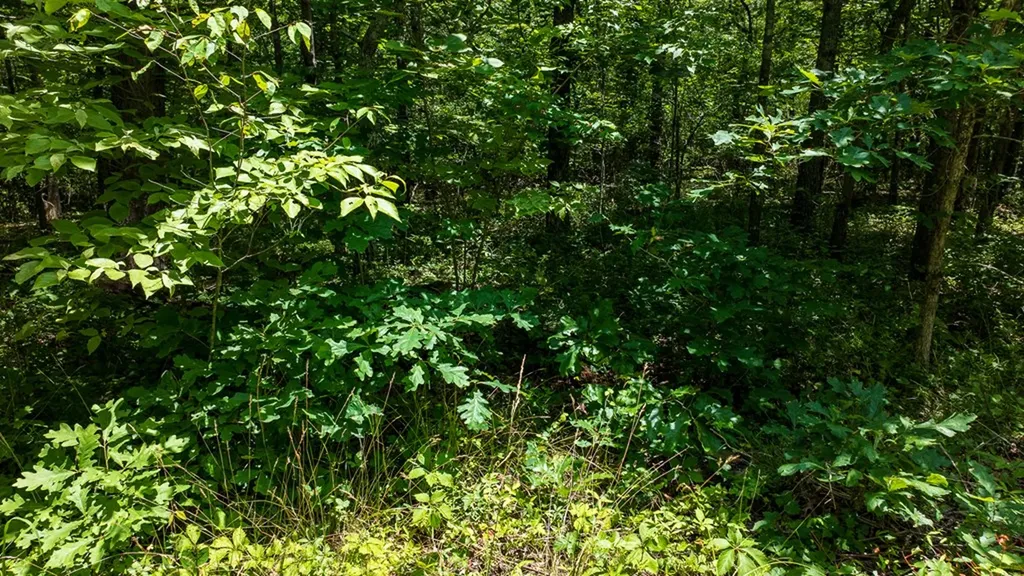 5011 Ostego Drive Crossville TN 38572