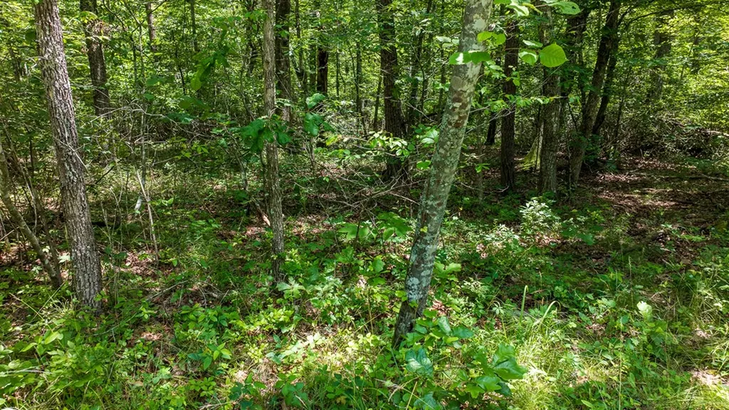 5011 Ostego Drive Crossville TN 38572
