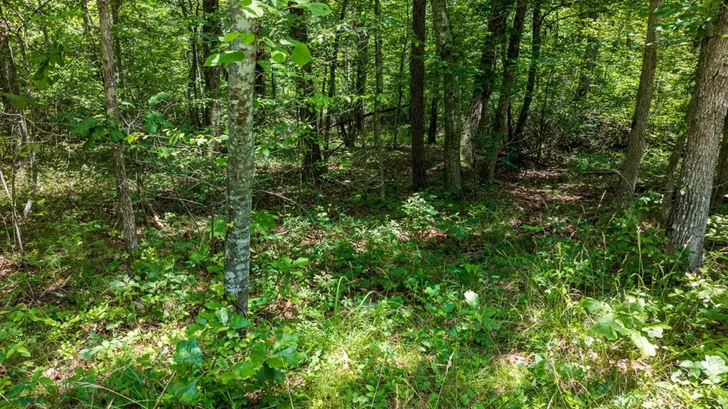 5011 Ostego Drive Crossville TN 38572