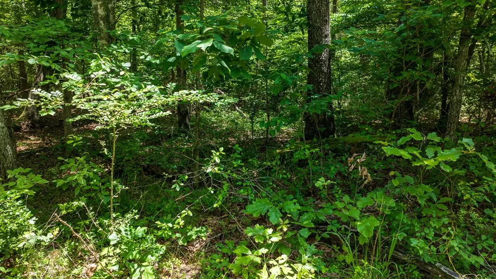 5011 Ostego Drive Crossville TN 38572