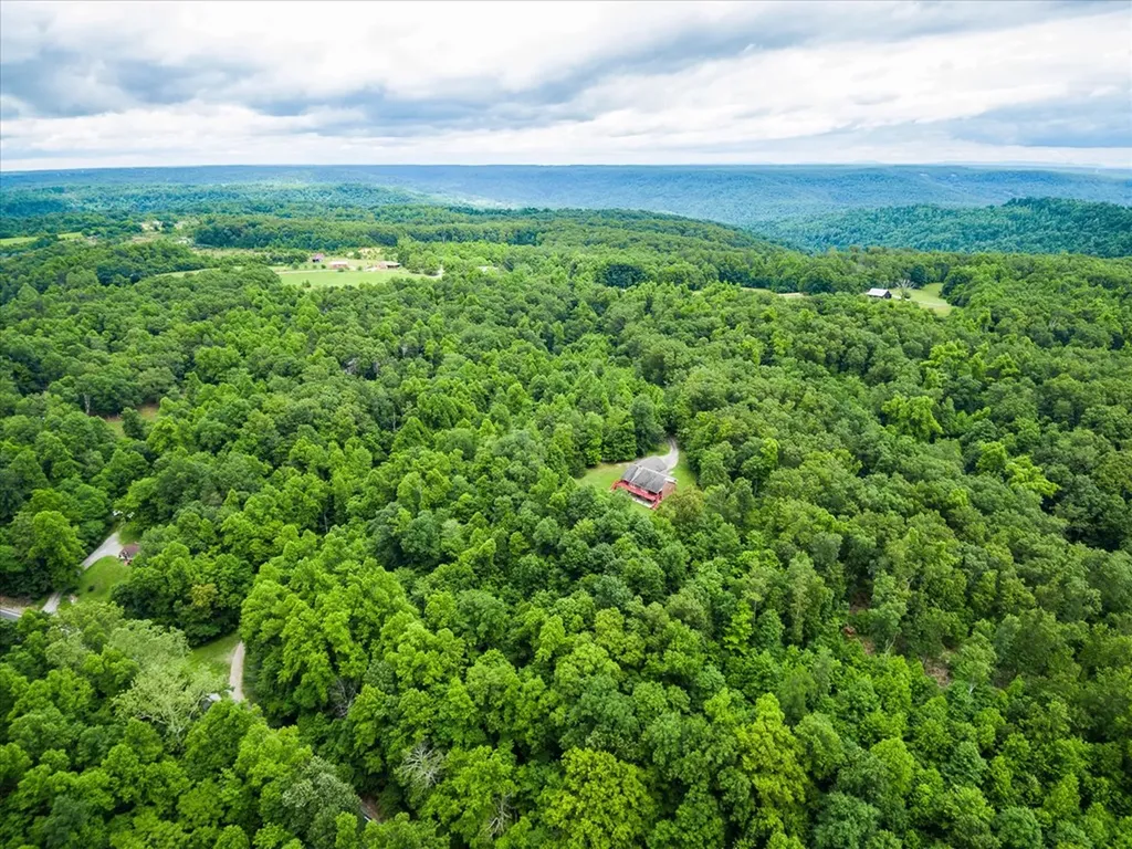 8631 Monterey Highway Monterey TN 38574-3205