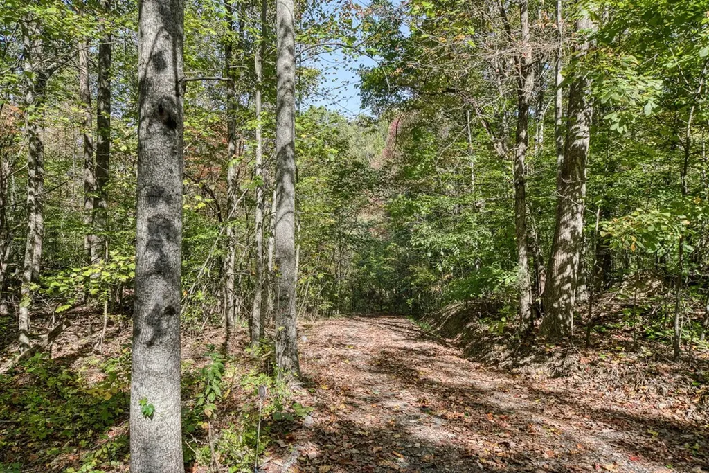 8631 Monterey Highway Monterey TN 38574-3205