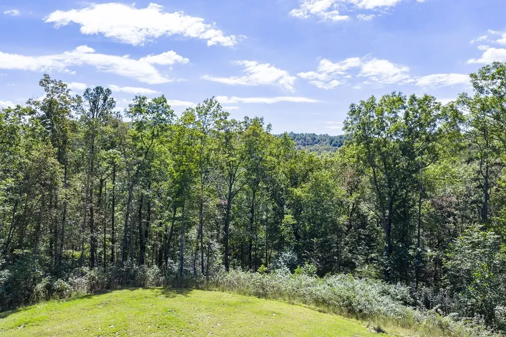 1499 Doe And Fawn Lane Crawford TN 38554