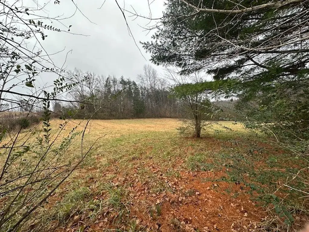 1213 Old Union Road Hilham TN 38568