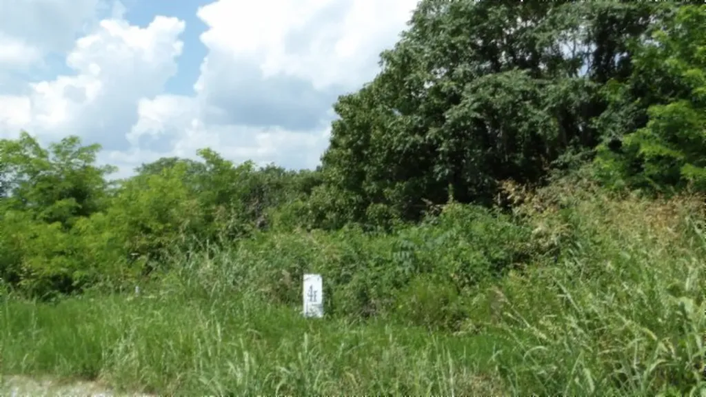 Lot 4f Trout Lane Hilham TN 38568