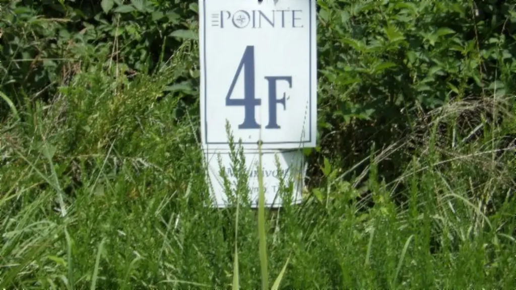 Lot 4f Trout Lane Hilham TN 38568