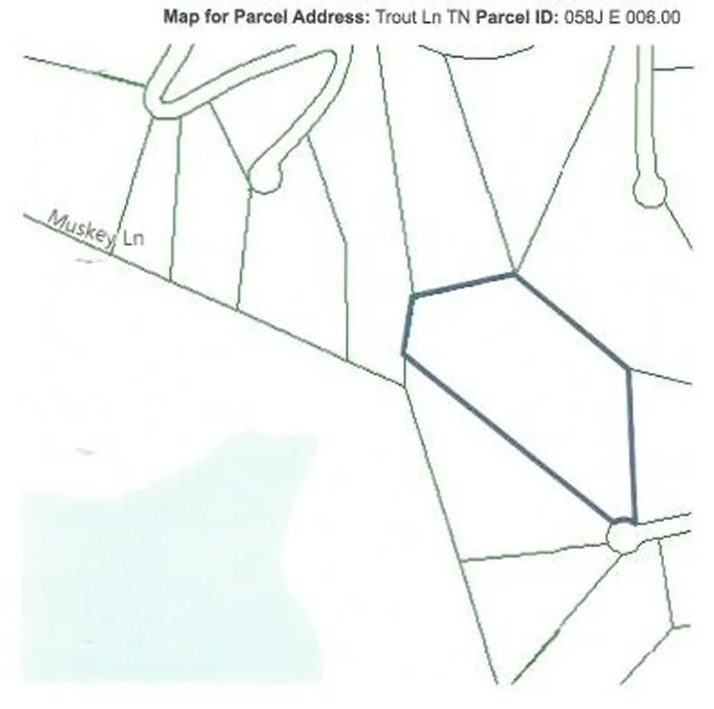 Lot 4f Trout Lane Hilham TN 38568