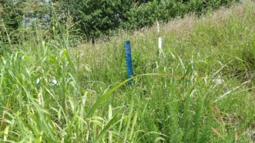 Lot 4f Trout Lane Hilham TN 38568
