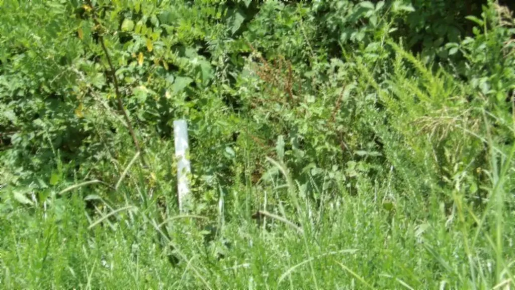 Lot 4f Trout Lane Hilham TN 38568