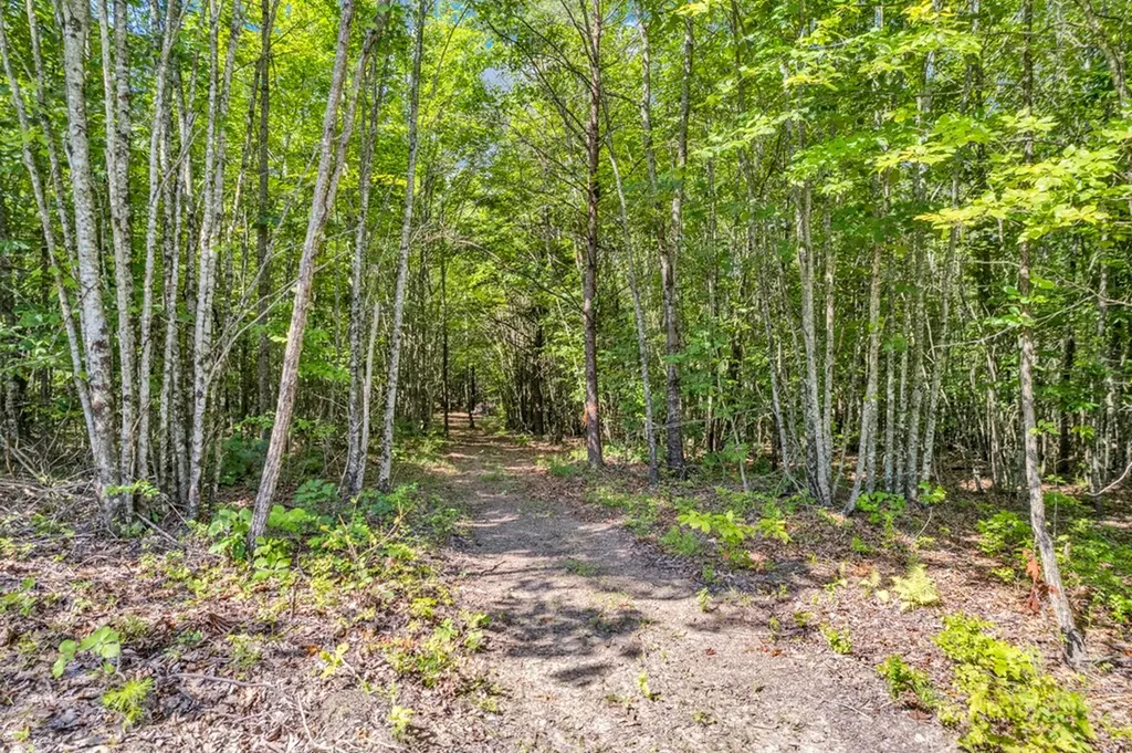 1280 Soak Creek Lane Grandview TN 37337