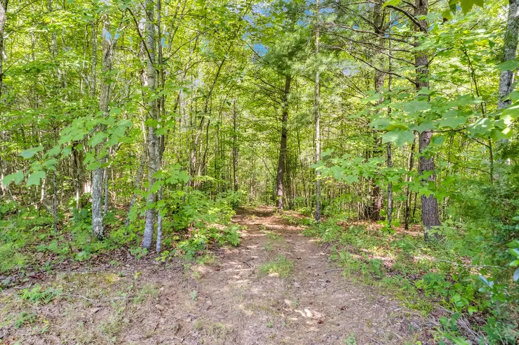 1280 Soak Creek Lane Grandview TN 37337