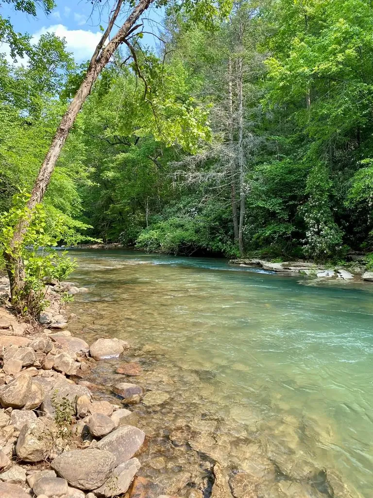 1280 Soak Creek Lane Grandview TN 37337